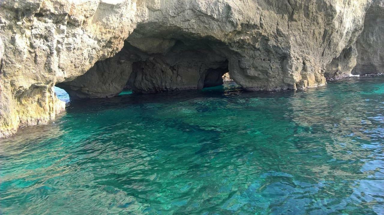 Acquarium Tropea Acomodação com café da manhã Exterior foto